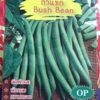 ถั่วแขก ภูเขาทอง