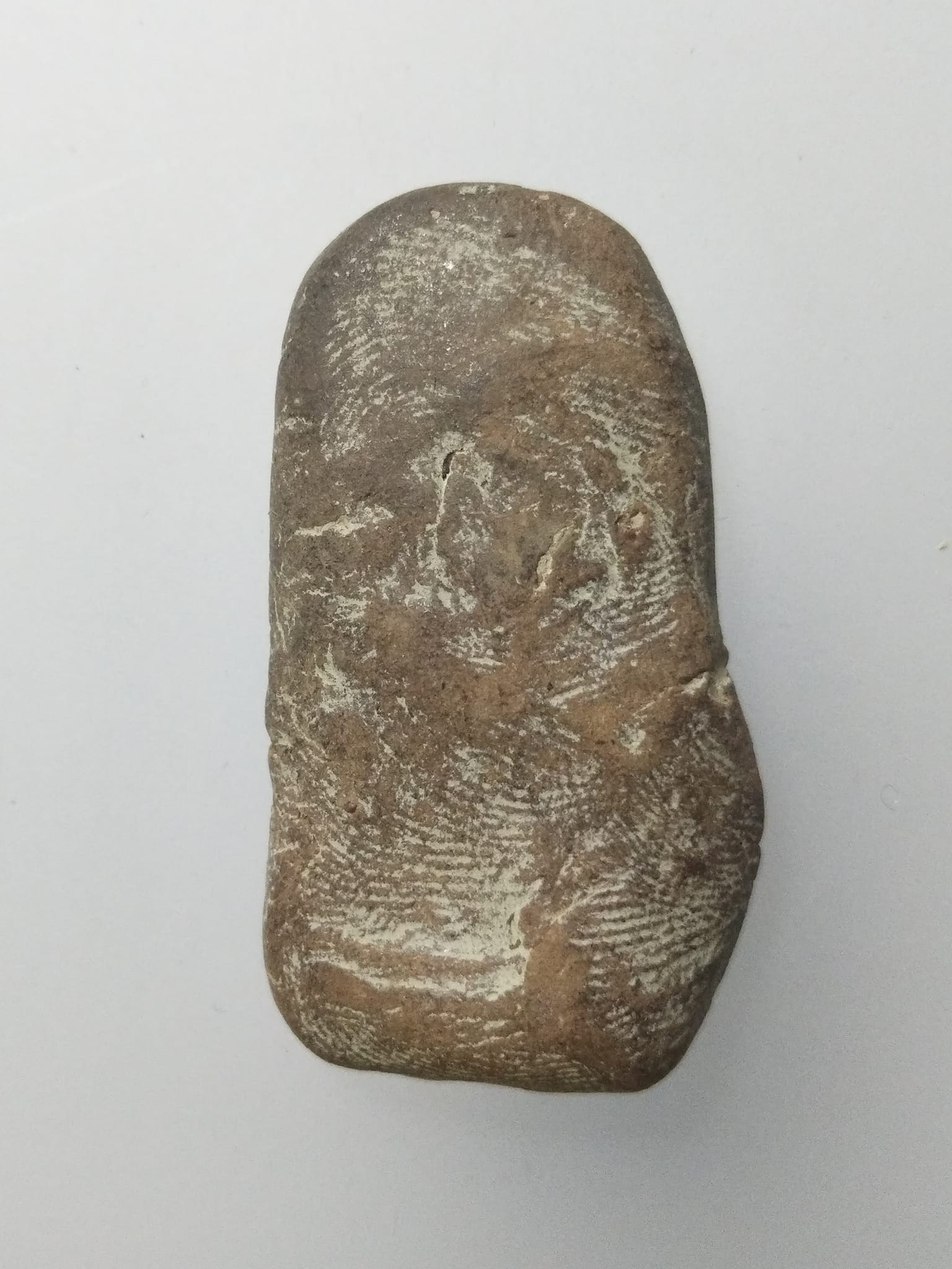 F205 พระนางตรา