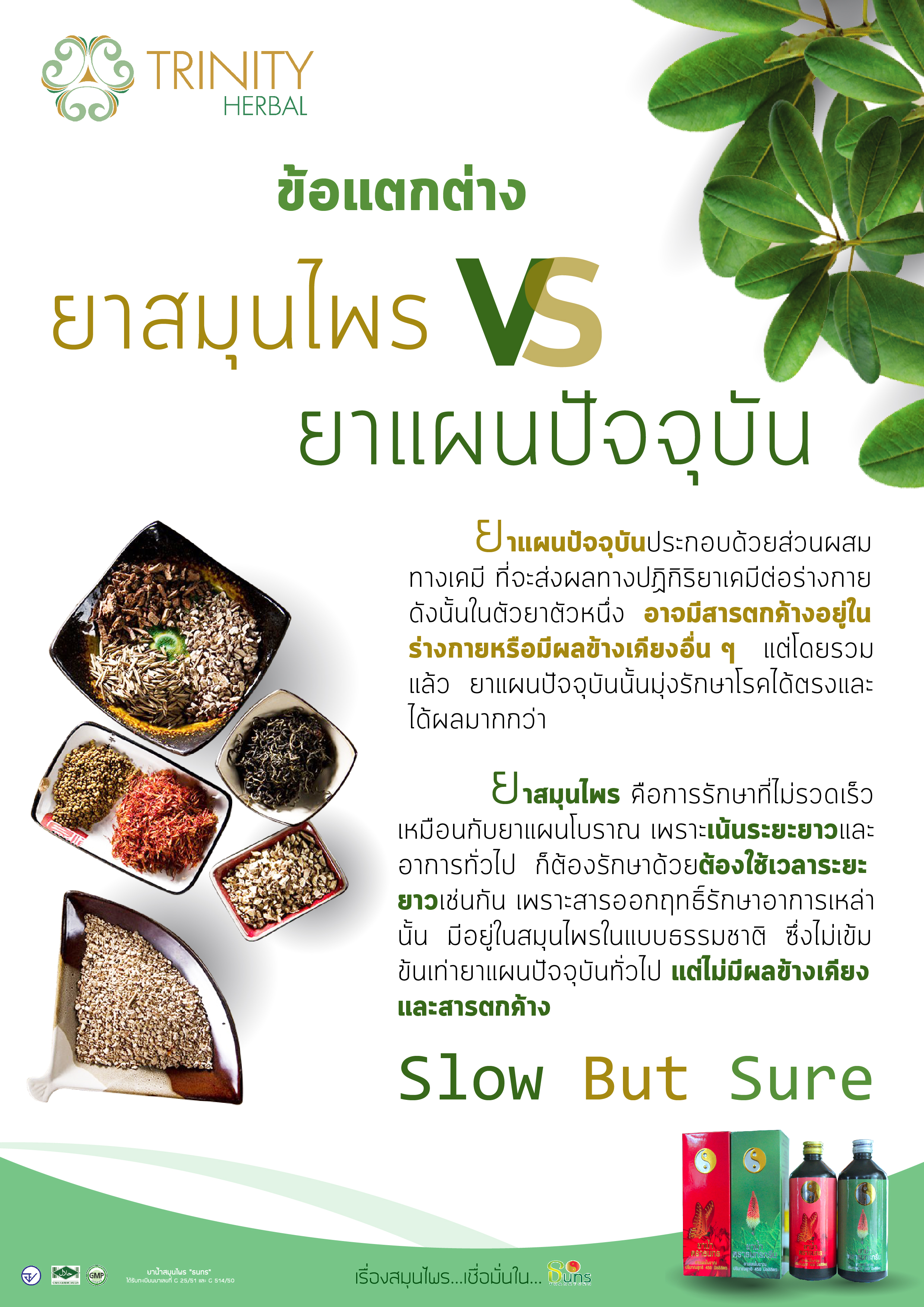 สมุนไพรจีน บำรุงไต สมุนไพรธนทร