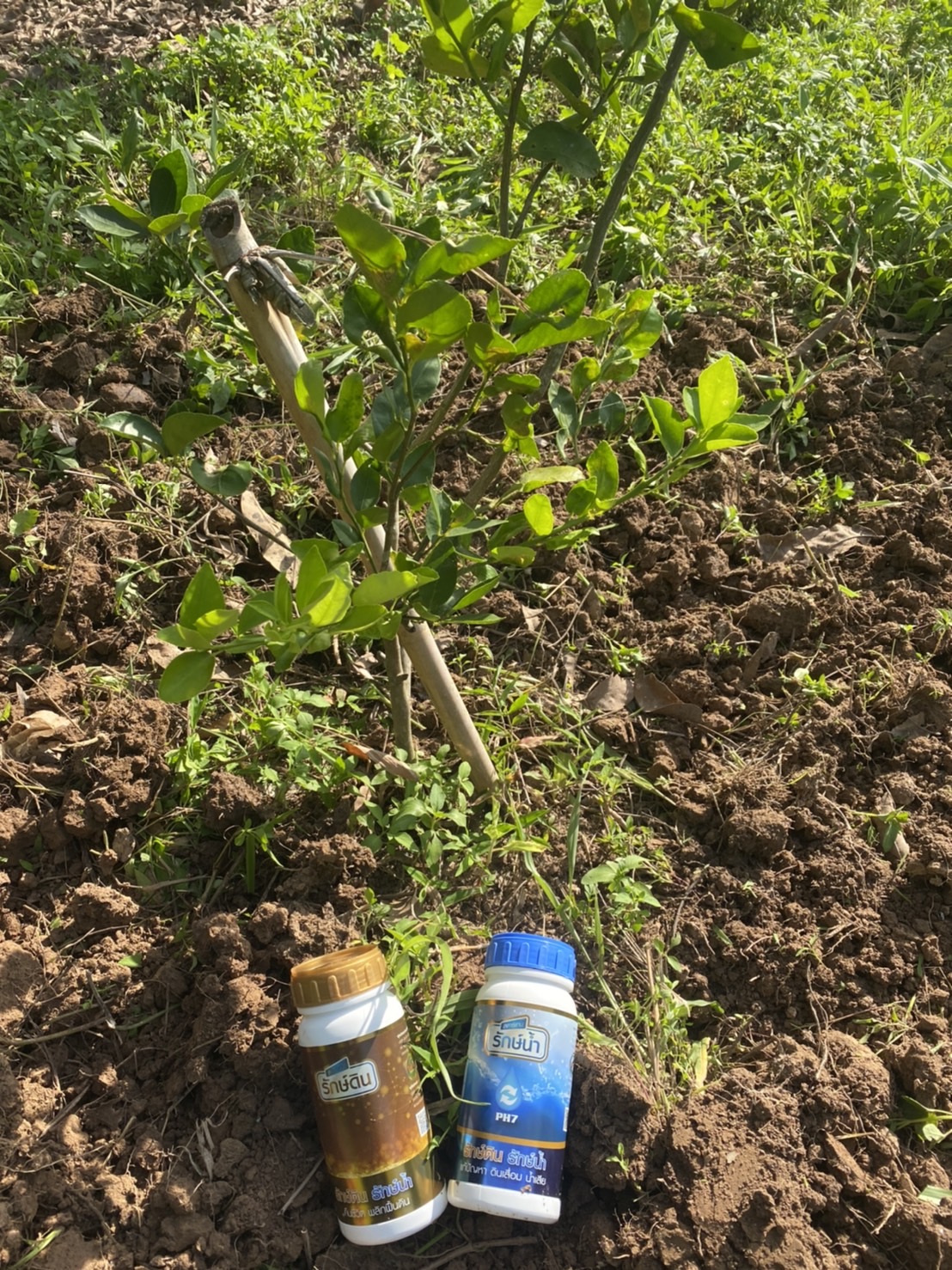 สารเทคโนโลยีชีวภาพ รักษ์ดิน รักษ์น้ำ ขนาด 500 ml. / ขวด