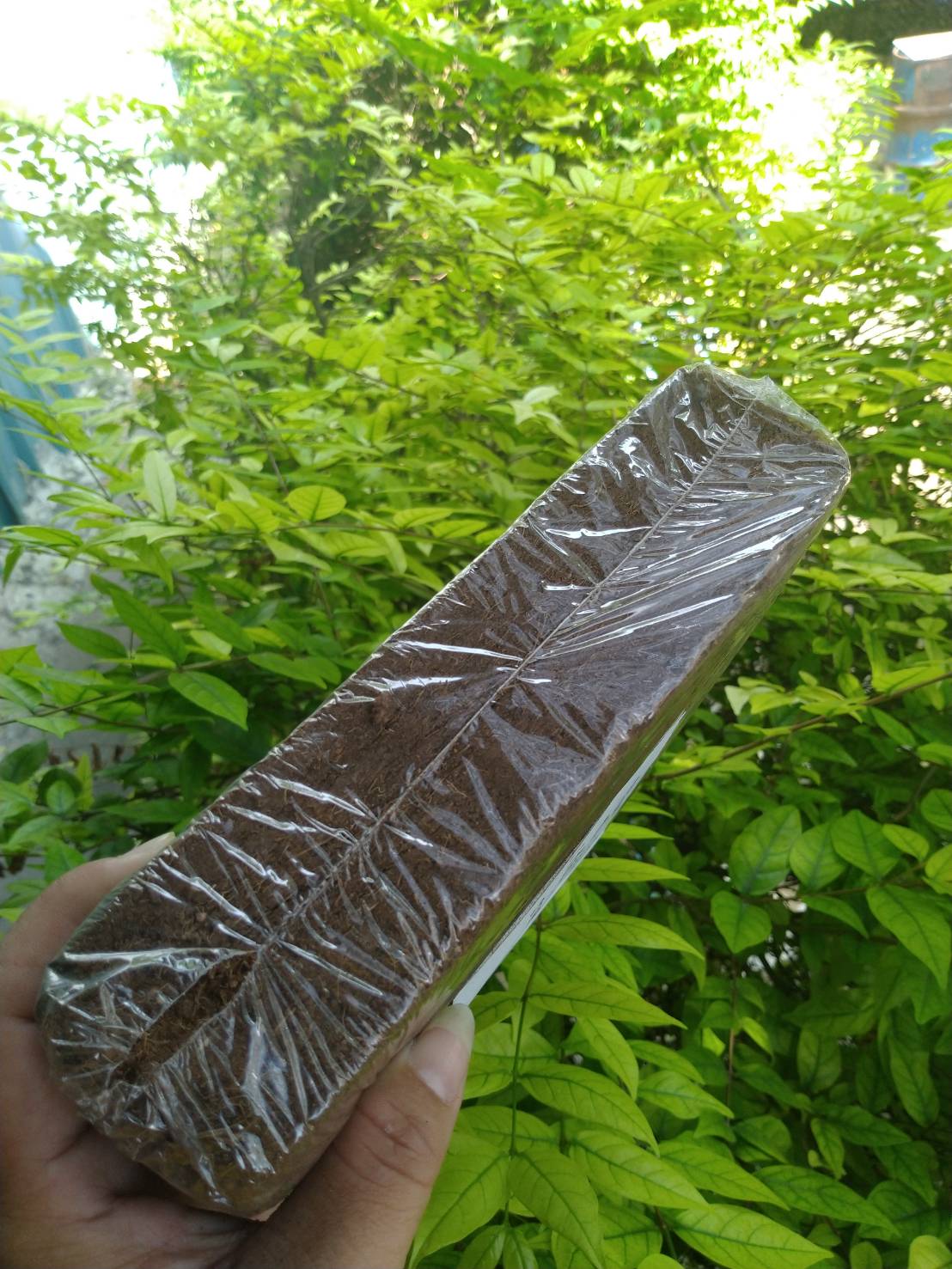 ขุยมะพร้าว ชนิด Treat 1 ก้อน/500 กรัม