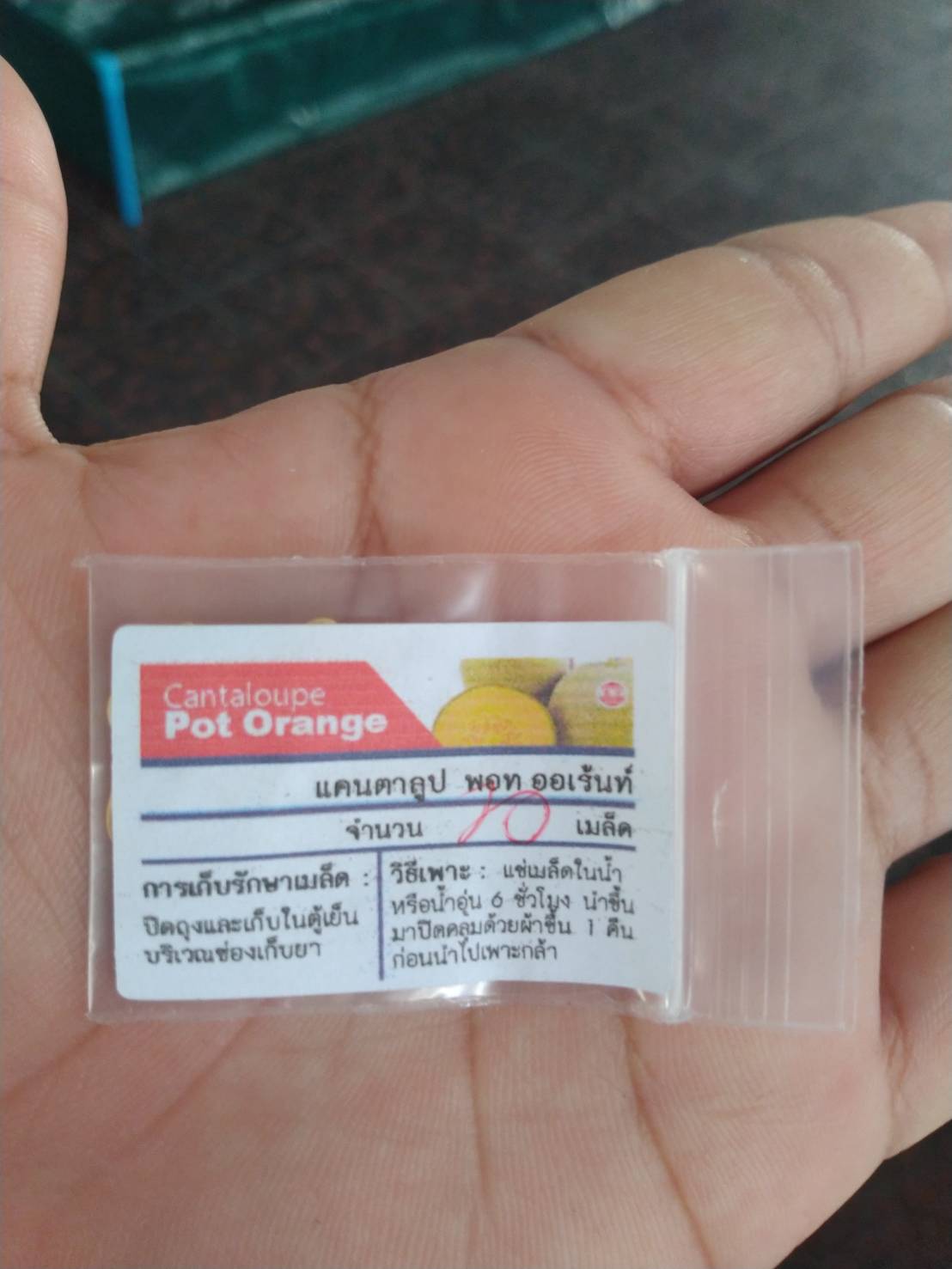 เมล่อน POT ORANGE 10 เมล็ด