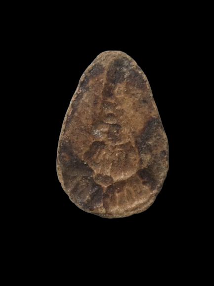 F254 แม่นางกวักเนื้อดิน