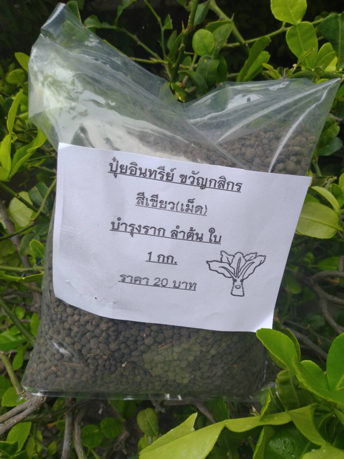 ปุ๋ยอินทรีย์แบบเม็ด (สีเขียว) ขนาด 1 กก." ขวัญกสิกร "บำรุงลำต้นและใบ