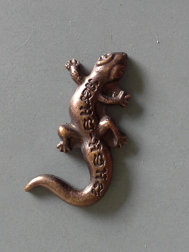 A526 จิ้งจกอุดมลาภ วัดจอมเกษ จ.อยุธยา ปี2557 หลวงพี่เลี้ยง