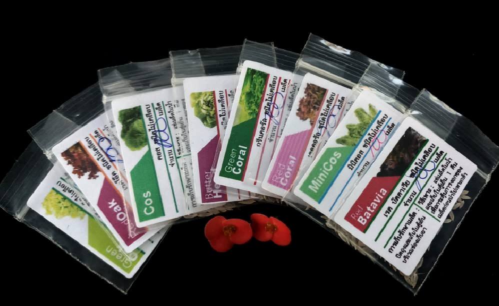 ชุดเมล็ดสลัด 9 ชนิด / แพ็ค