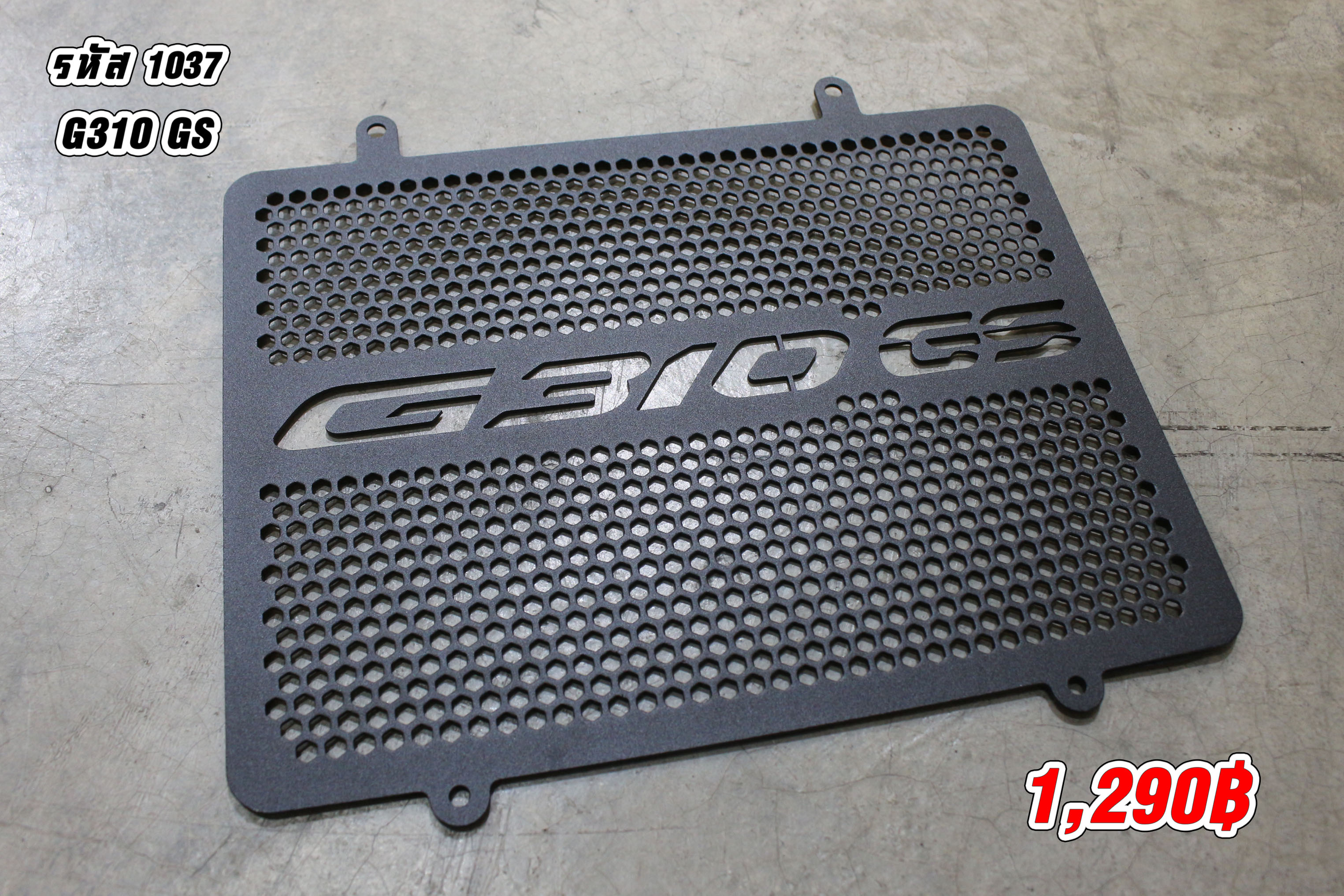 G310GS