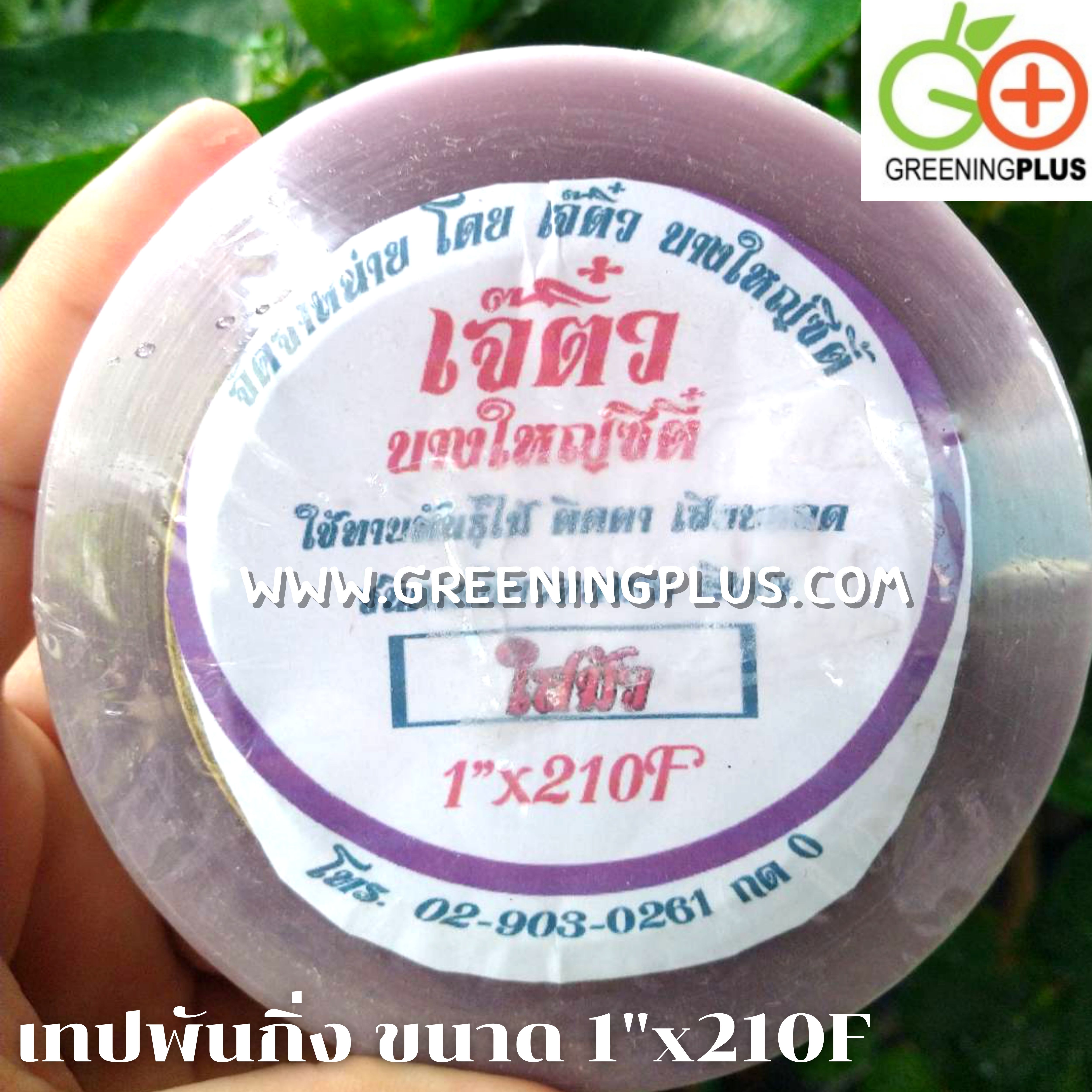 เทปพันกิ่ง ขนาด 1"x210F