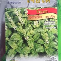 โหระพาช่อกระจาย ออร์แกนิค เจียใต๋