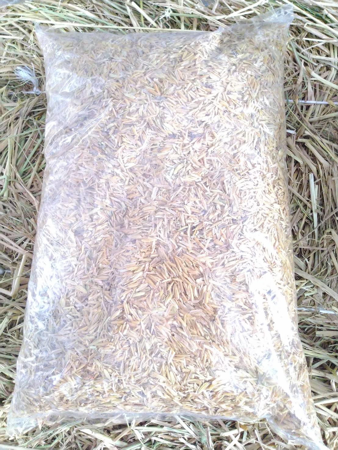 แกลบดิบ ขนาด 5 ลิตร. จำนวน 3 ถุง