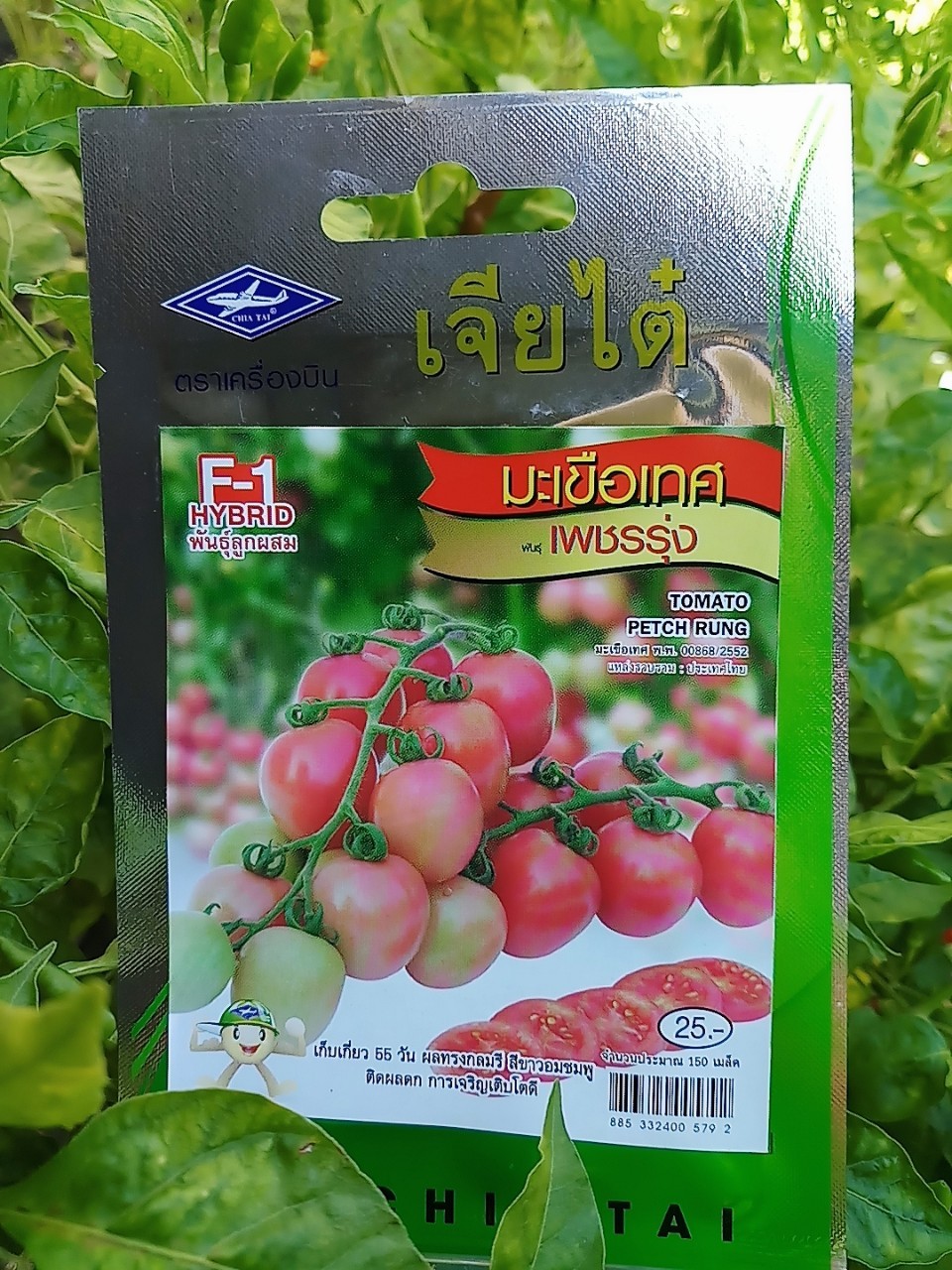 มะเขือเทศ เพชรรุ่ง F1