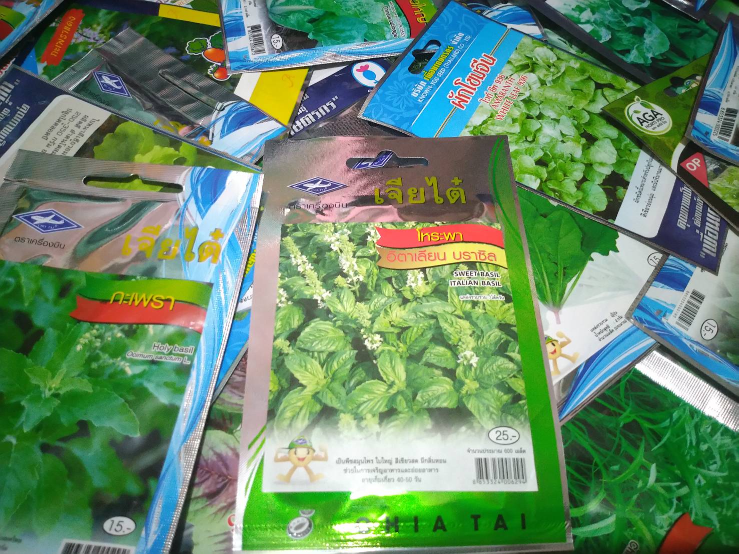 โหระพา อิตาเลียน บราซิล เจียใต๋