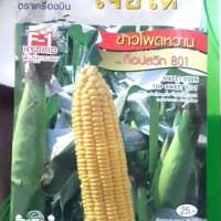 ข้าวโพดหวานท็อปสวีท เจียใต๋