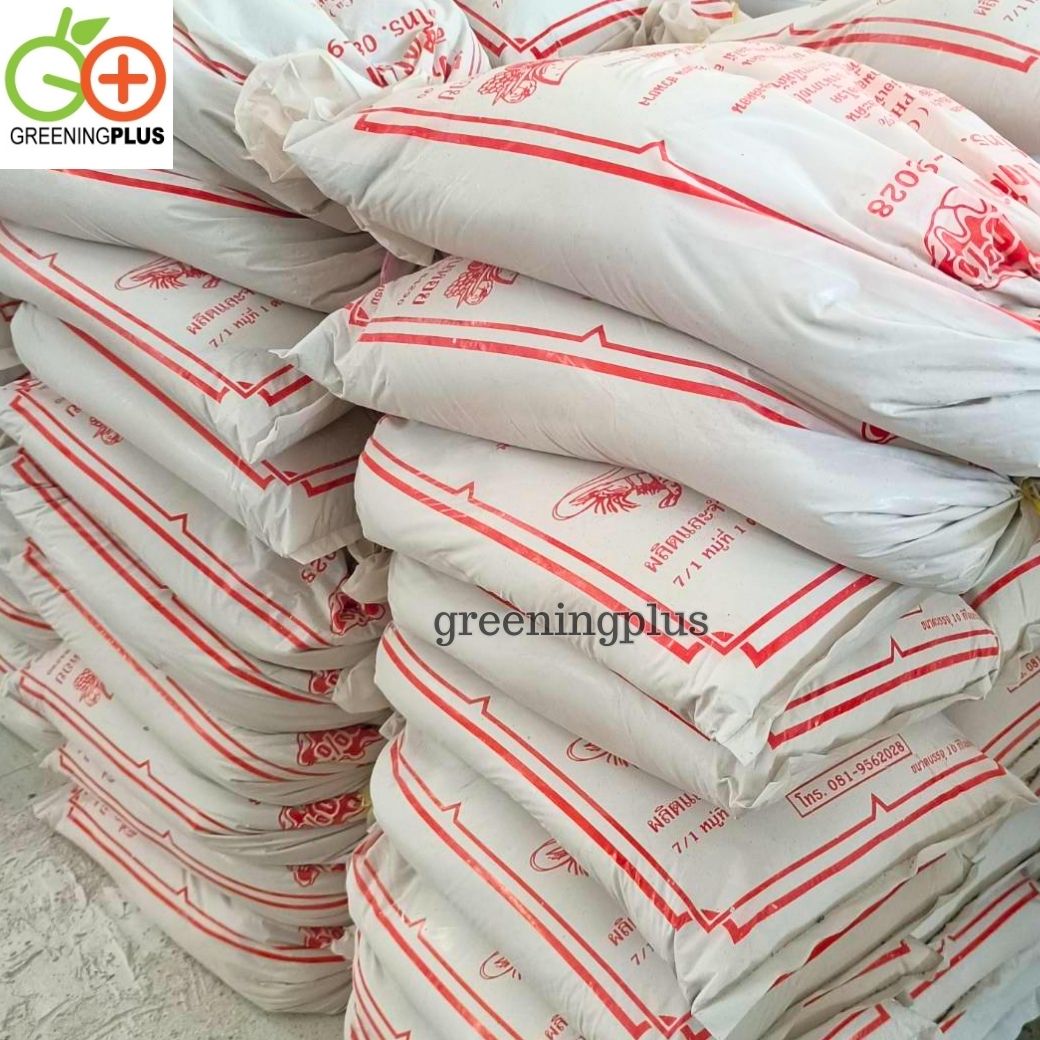 ปูนเปลือกหอย ของแท้จากสุราษฎร์ธานี แบ่งขาย 1 กิโลกรัม / แพ็ค