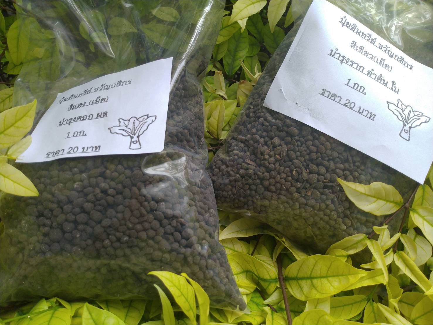 ปุ๋ยอินทรีย์แบบเม็ด (สีเขียว) ขนาด 1 กก." ขวัญกสิกร "บำรุงลำต้นและใบ