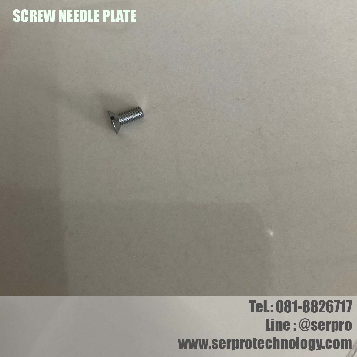 SCREW NEEDLE PLATE