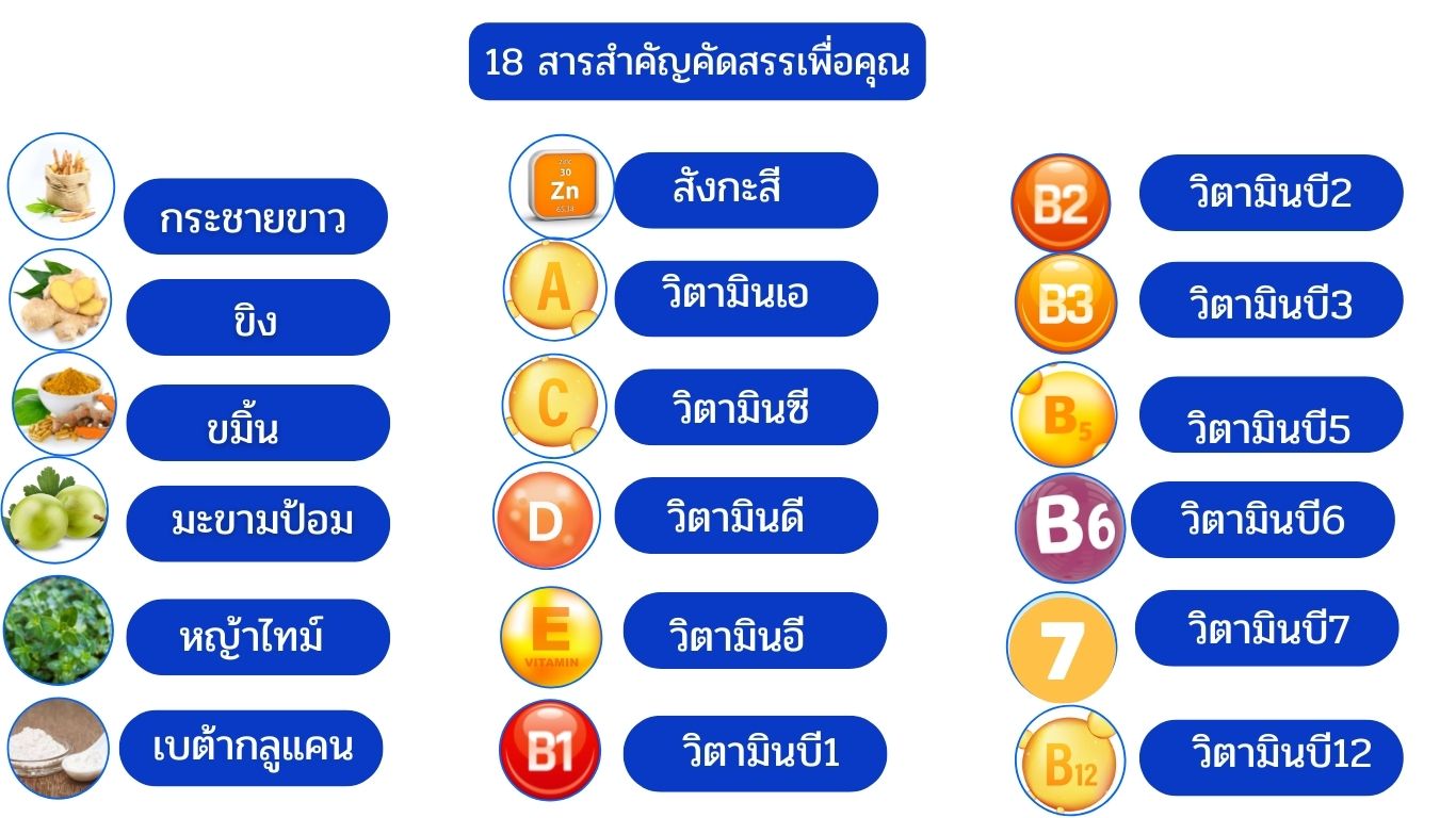 krachay khaw plus-8 สารสกัดกระชายขาว เสริมสร้างภูมิคุ้มกัน ต้านอนุมูลอิสระ ป้องกันไวรัส ป้องกันโควิด-19 วินตามินรวม ลดการอักเสบ แก้ไอ ละลายเสมหะ หลอดลมอักเสบ หอบหืด วัณโรคปอด กระตุ้นเซลล์เม็ดเลือดขาว 