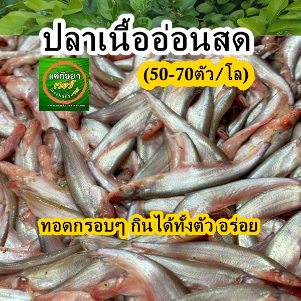 ปลาเนื้ออ่อนแดดเดียว