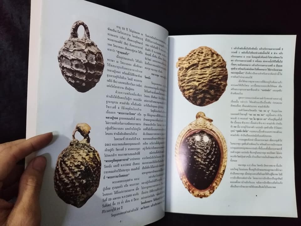 เบี้ยแก้ หมากทุย