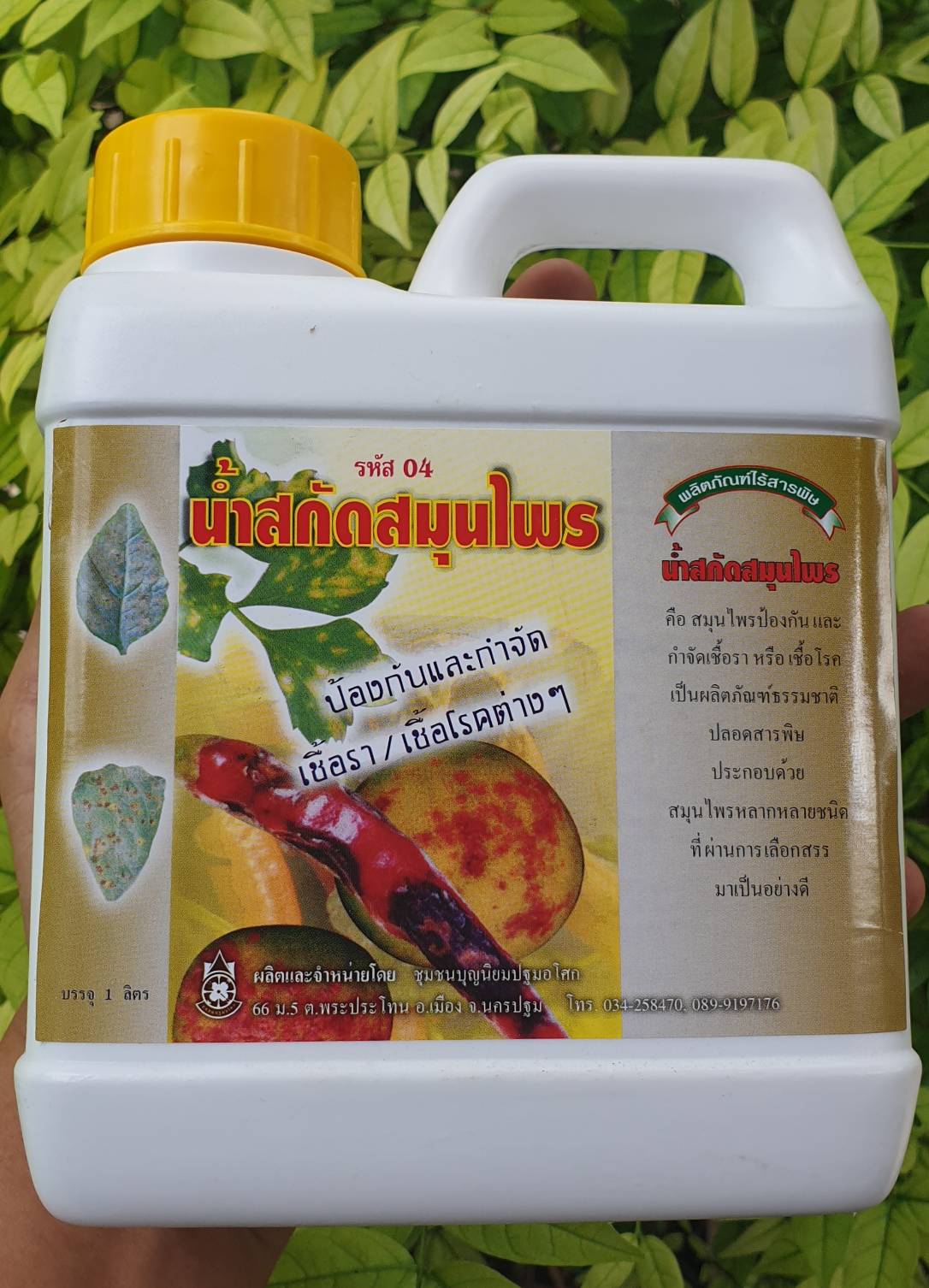 น้ำสกัดสมุนไพร ป้องกันและกำจัดเชื้อรา/เชื้อโรคต่างๆ 1 ลิตร