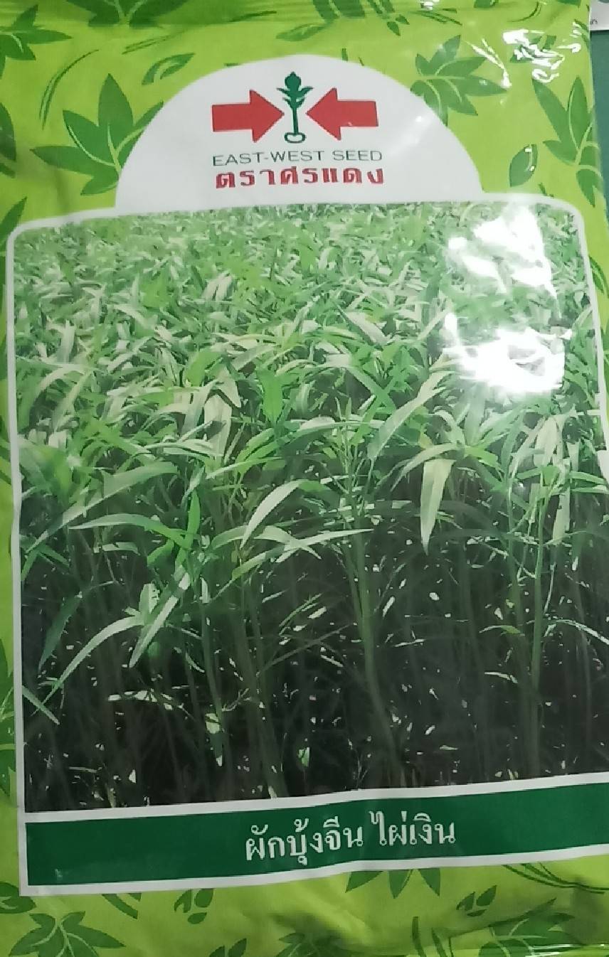 ผักบุ้ง ศรแดงขนาด 1 กก.