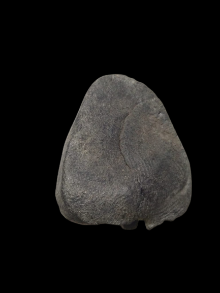 F142 พระสังกัจจายน์