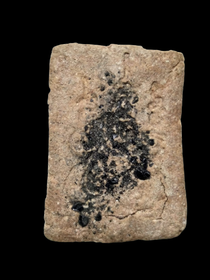 F050 พระปางเลไลย์