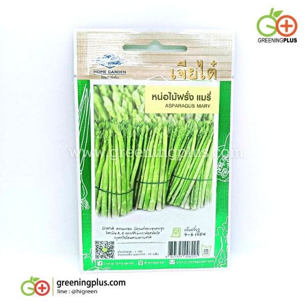 หน่อไม้ฝรั่ง แมรี่ (asparagus mary) เจียใต๋