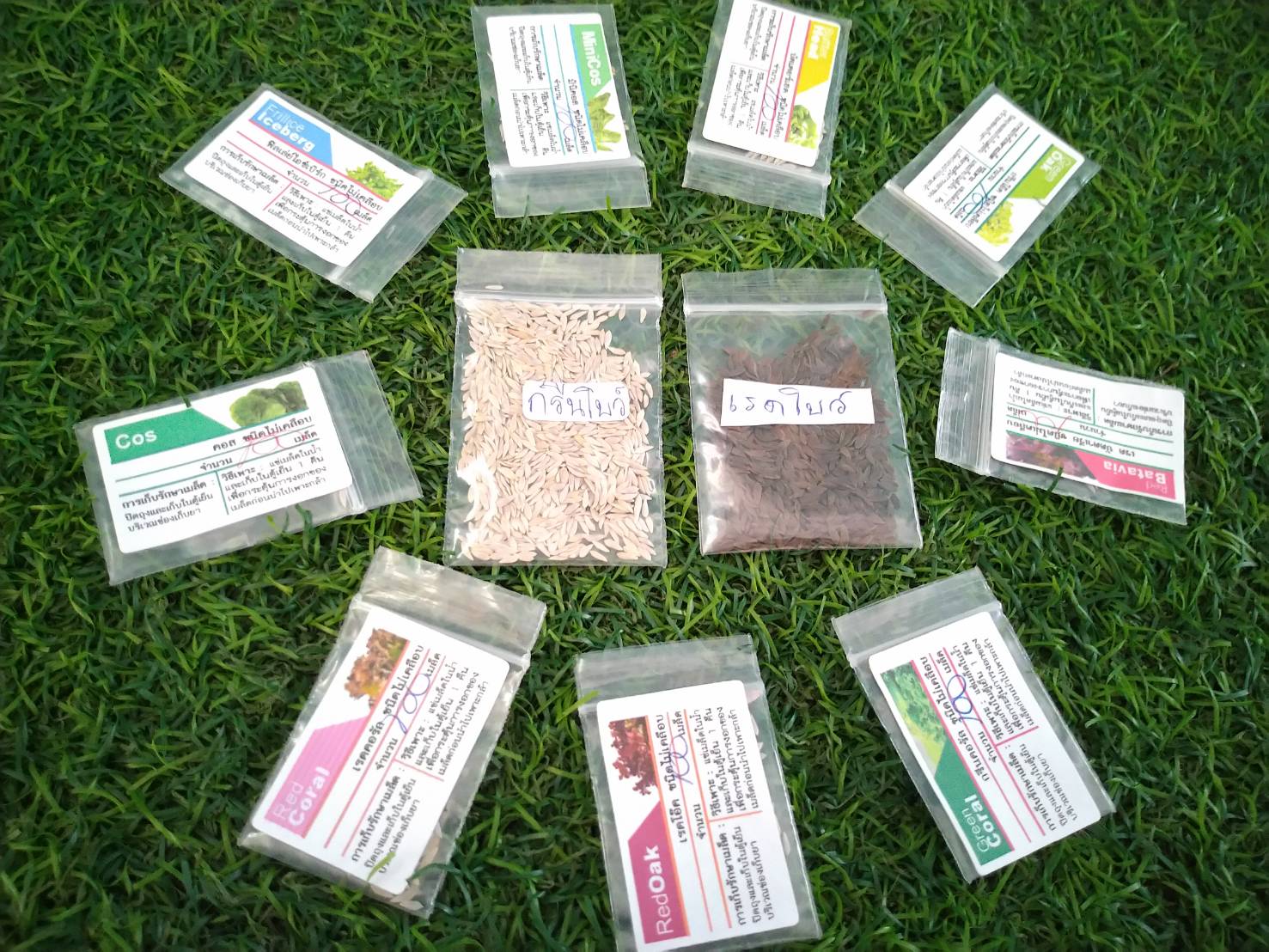 red bowl 1000 pills(ไม่เคลือบ)