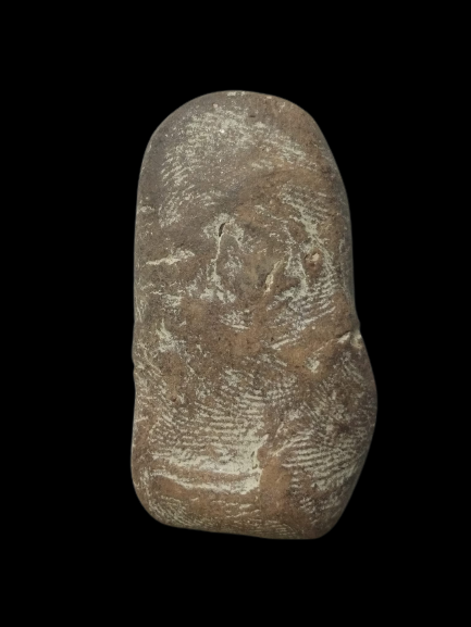 F205 พระนางตรา