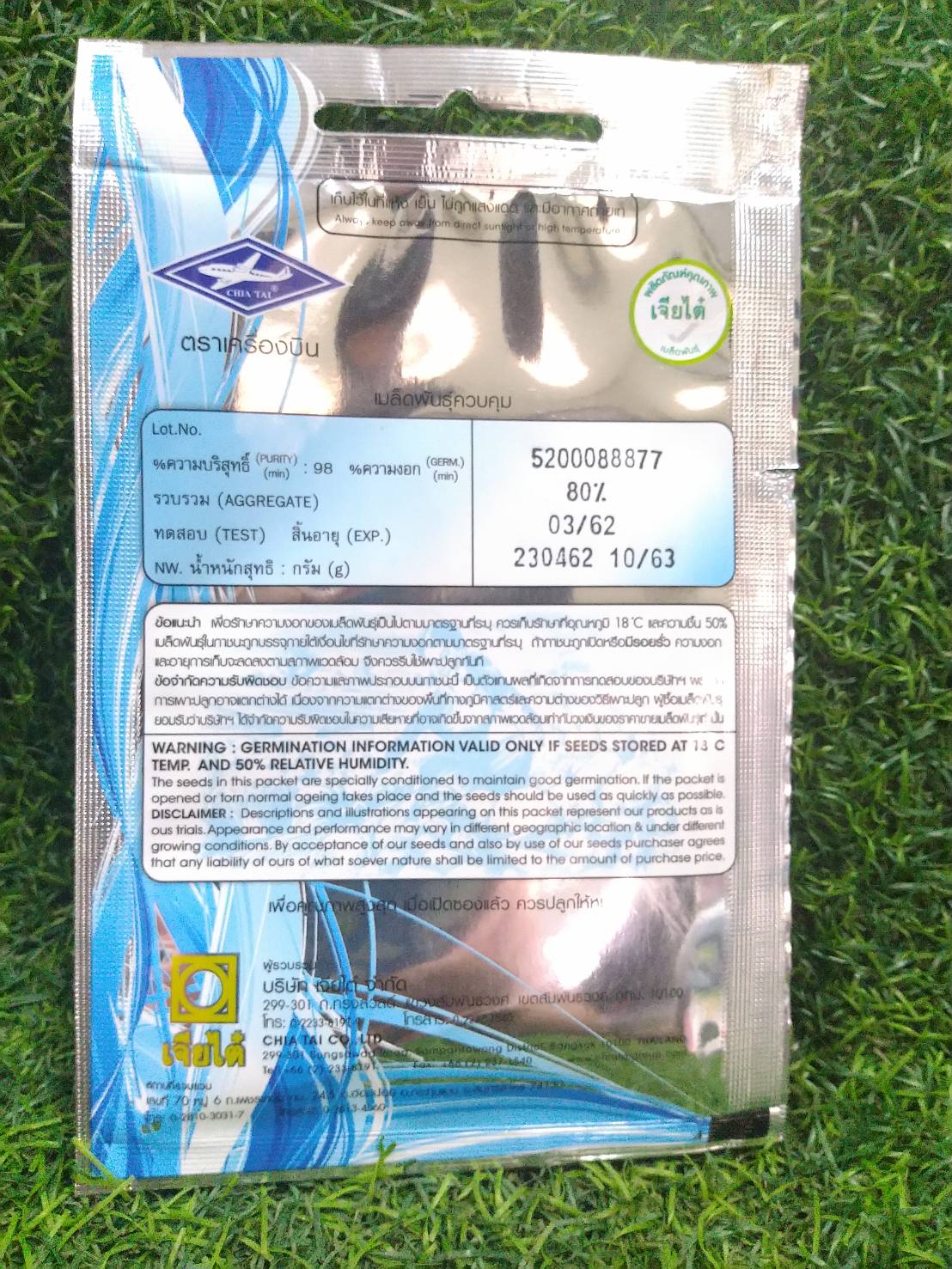 กาดขาวใหญ่ (Chinese Cabbage) เจียใต๋