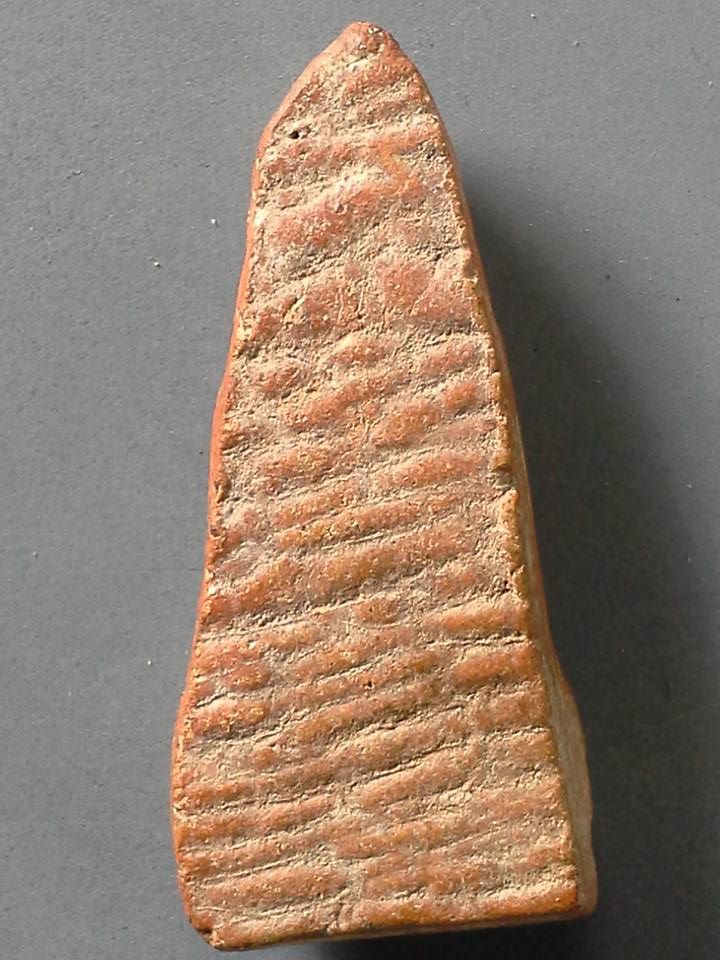 A202 พระหูยานเนื้อดิน