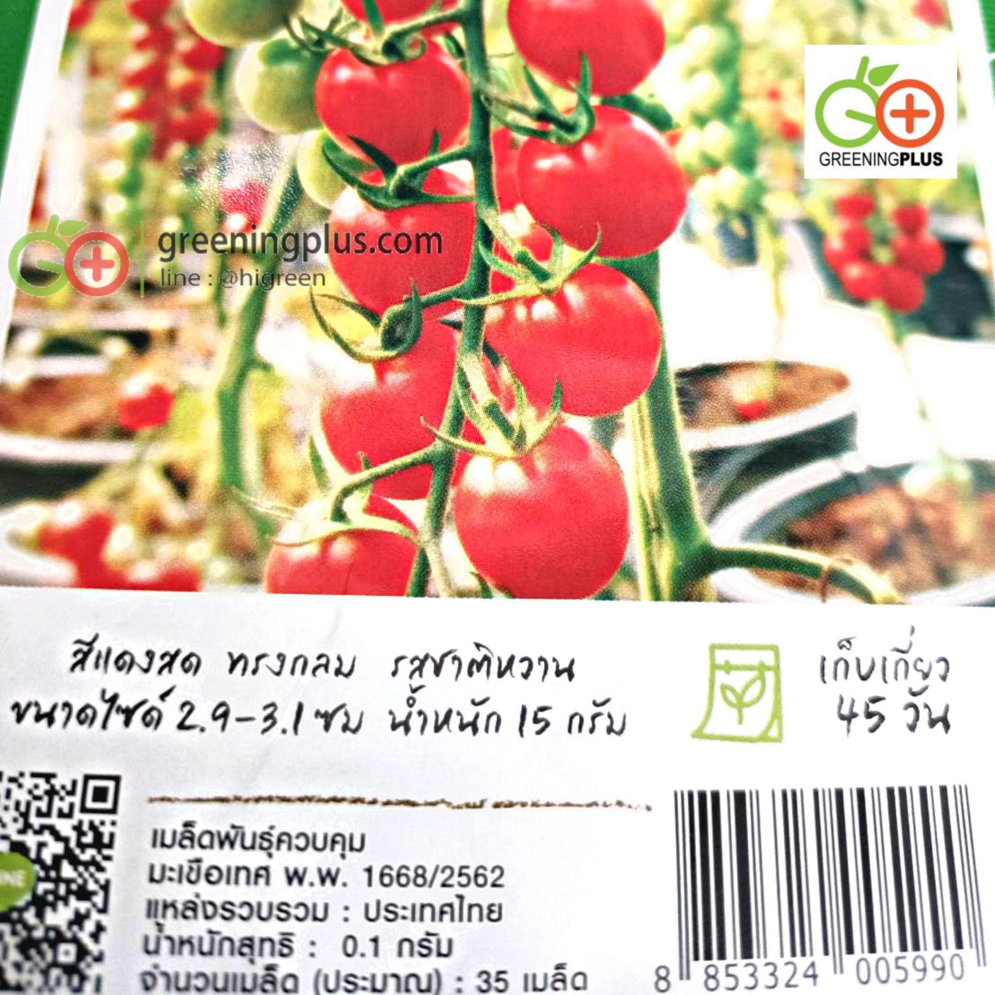 มะเขือเทศเชอร์รี่ สวีทปริ้นเซส (เจียใต๋)