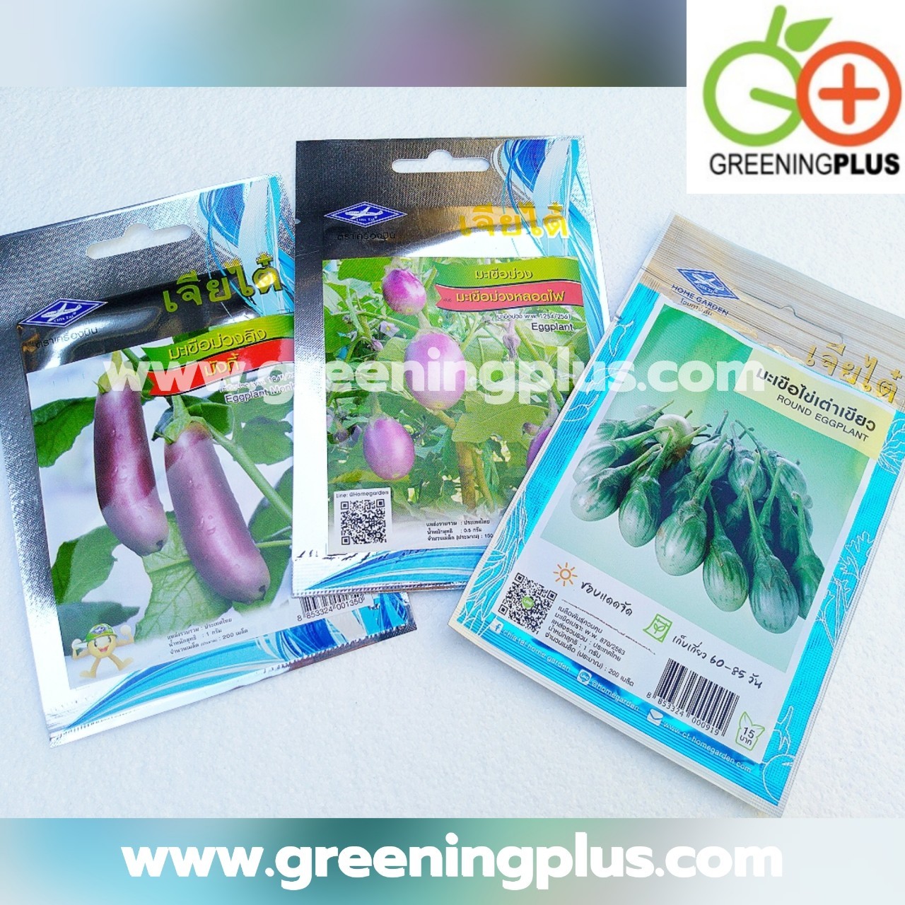 มะเขือม่วงหลอดไฟ (Eggplant) เจียไต๋