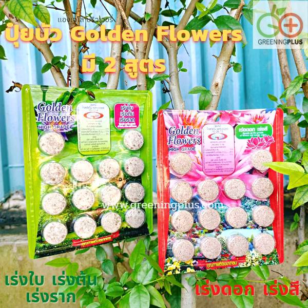 ปุ๋ยบัว Golden Flowers มี 2 สูตร (จำนวน 1 แผง)
