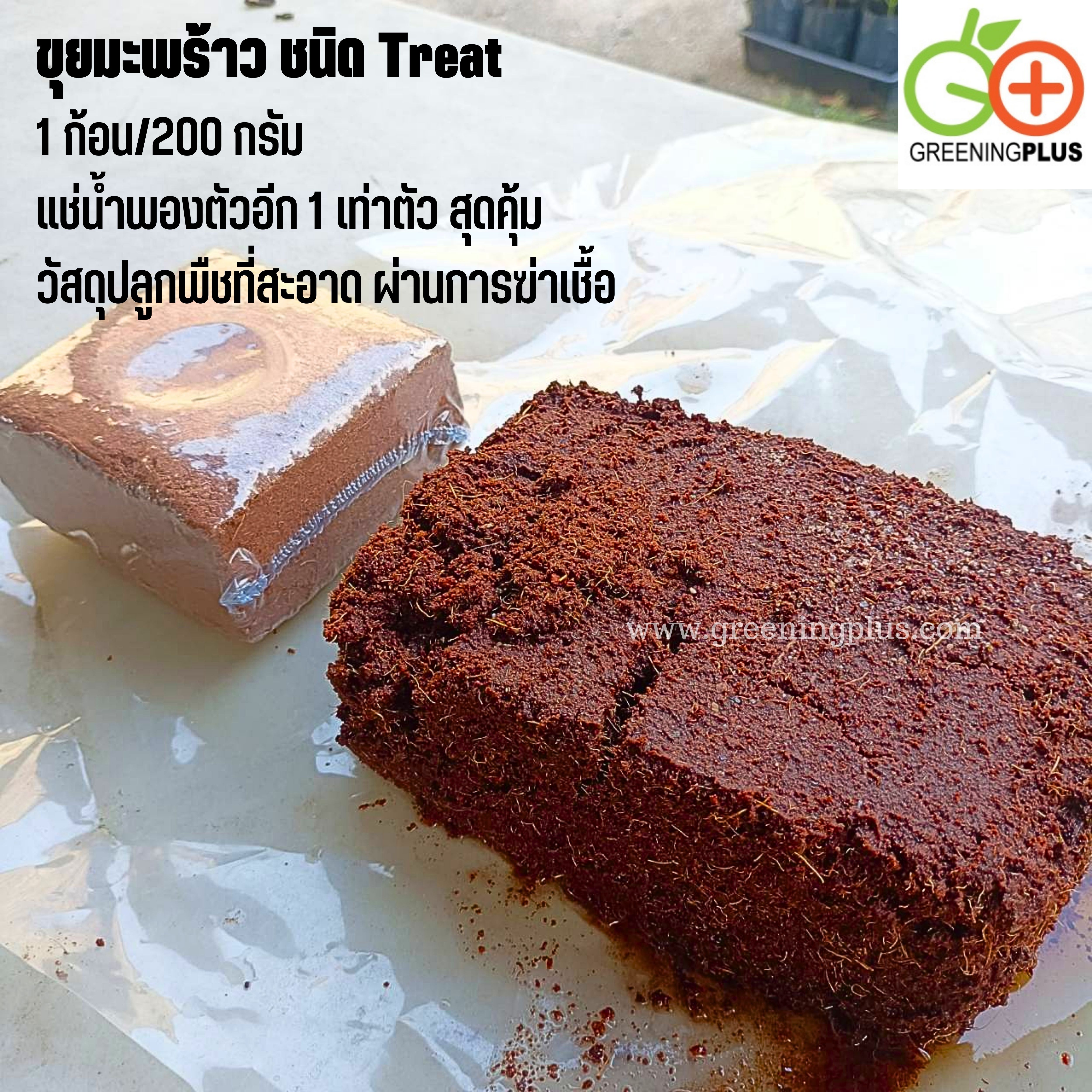 ขุยมะพร้าว ชนิด Treat 1 ก้อน/200 กรัม