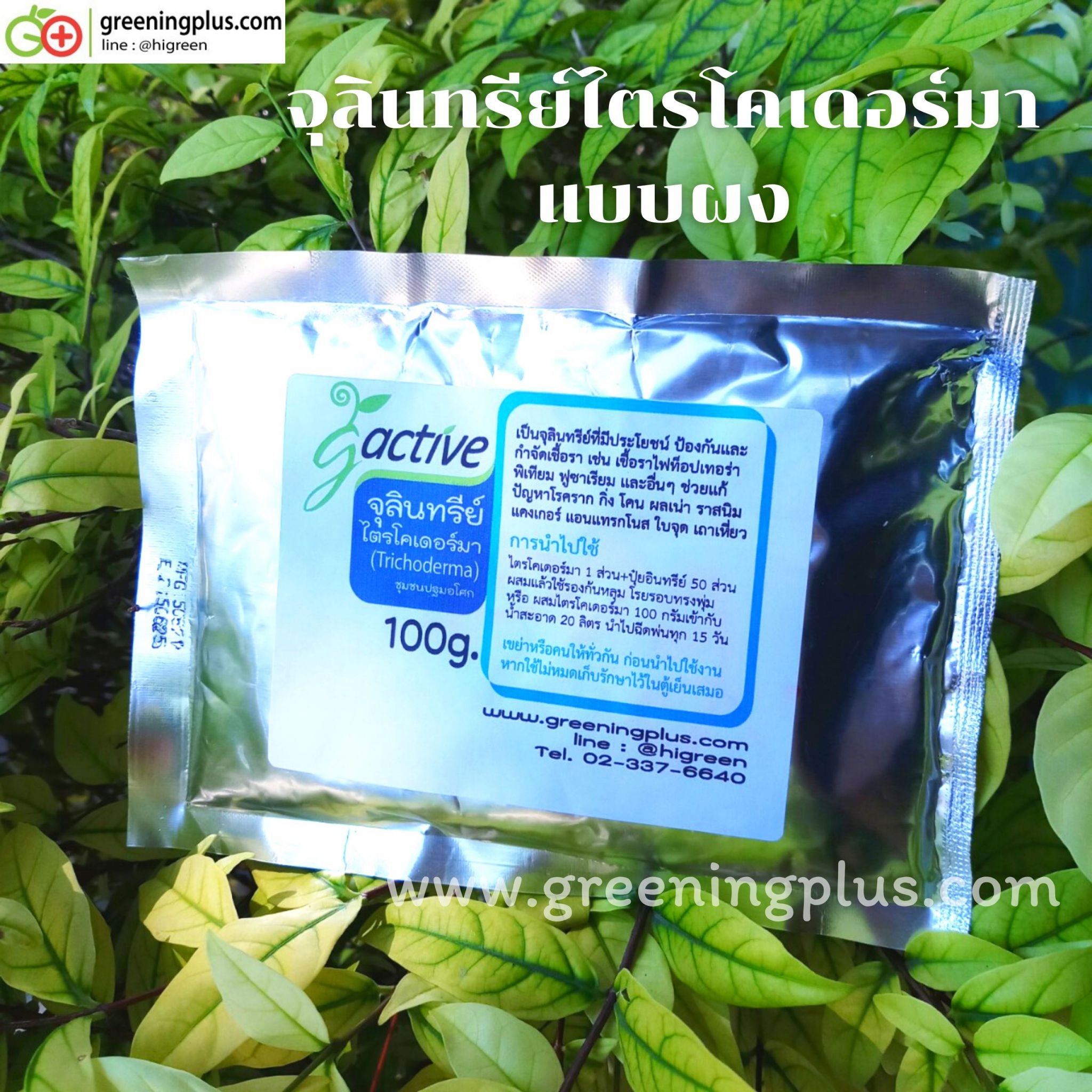 เชื้อราไตรโคเดอร์มาแบบผง 100 กรัม