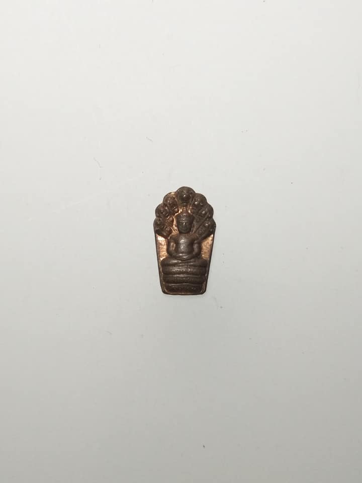 E364 ปรกมะขามหลวงพ่อไสว วัดปรีดาราม