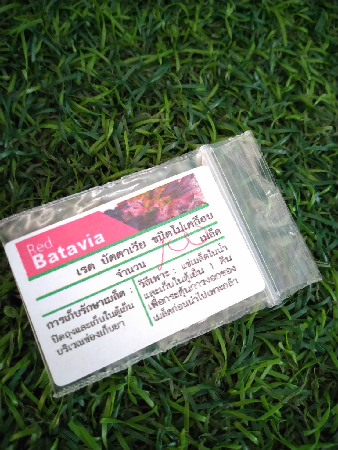 red batavia 100 pills (ไม่เคลือบ)