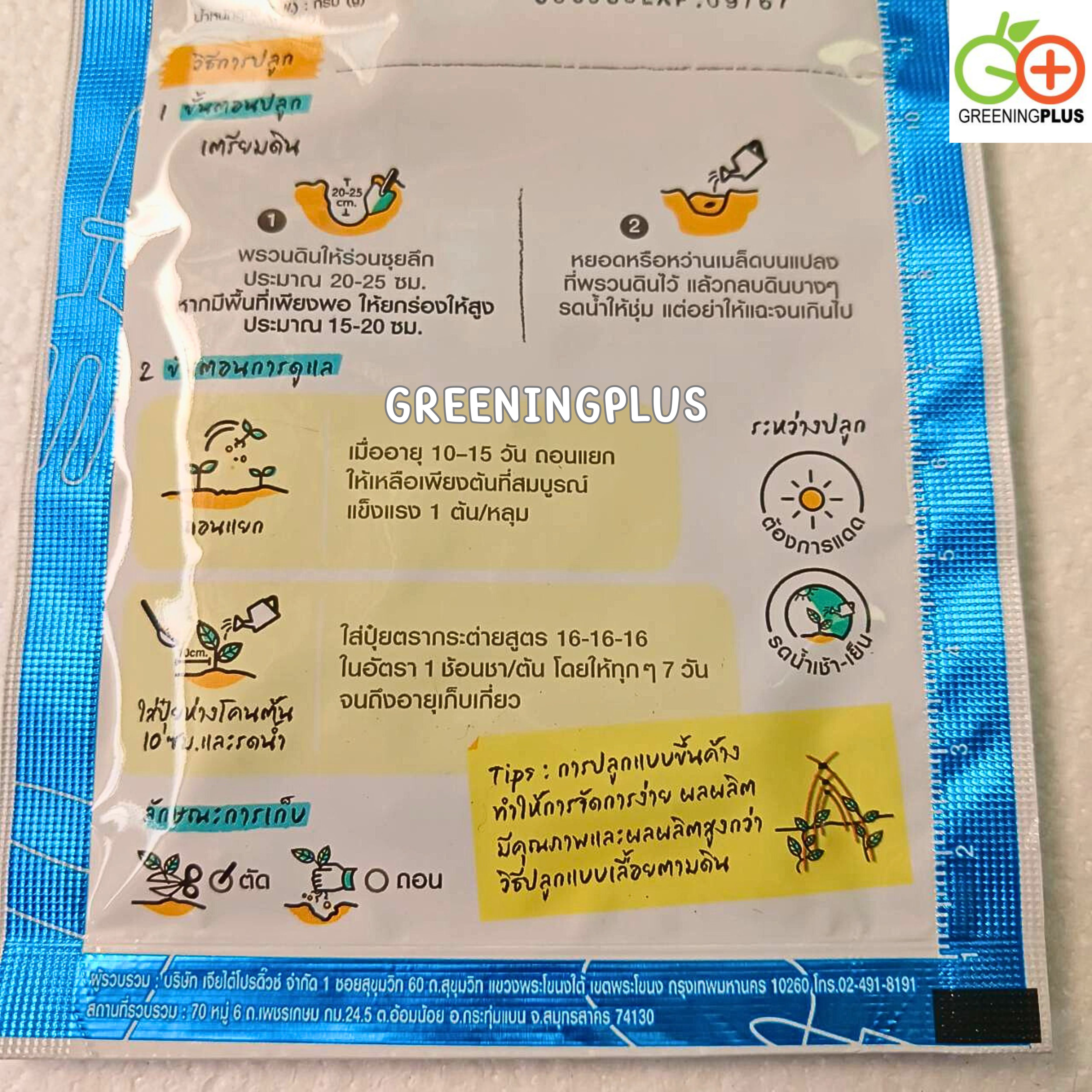 กระเจี๊ยบเขียว Okra เจียไต๋