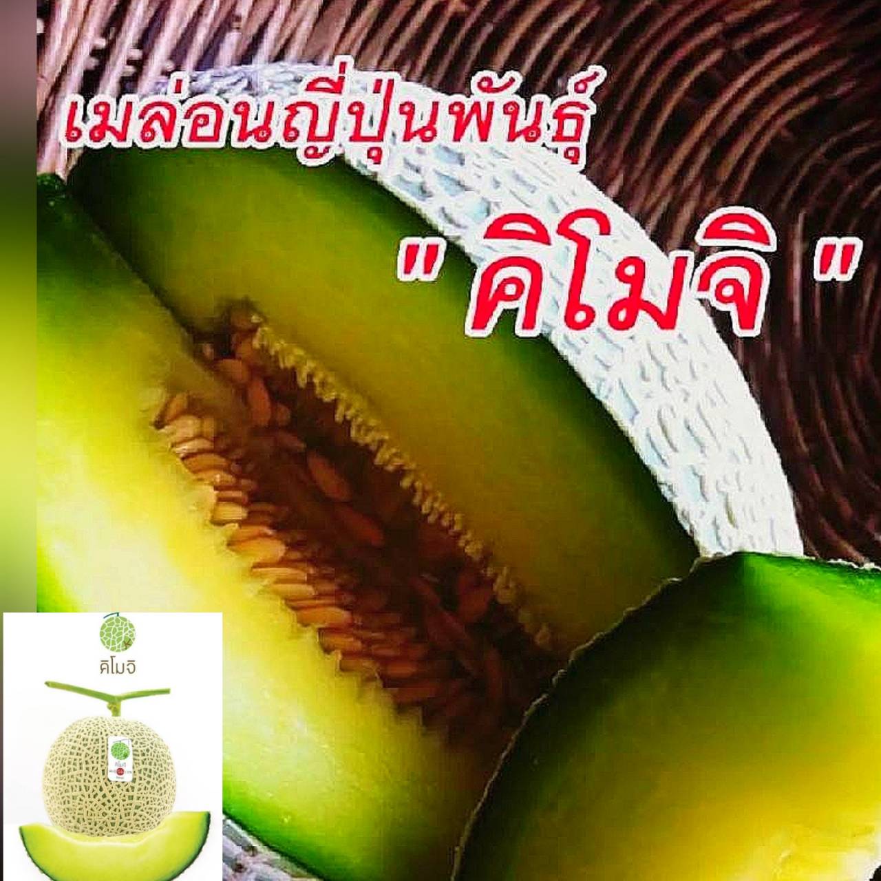 เมล่อน คิโมจิ Japan Melon Kimoji 10 เมล็ด