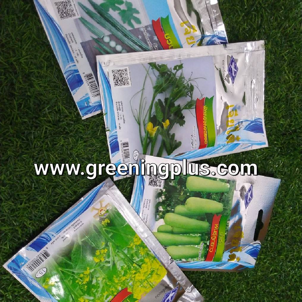 ฟักทองทอดยอด (Pumpkin) เจียไต๋