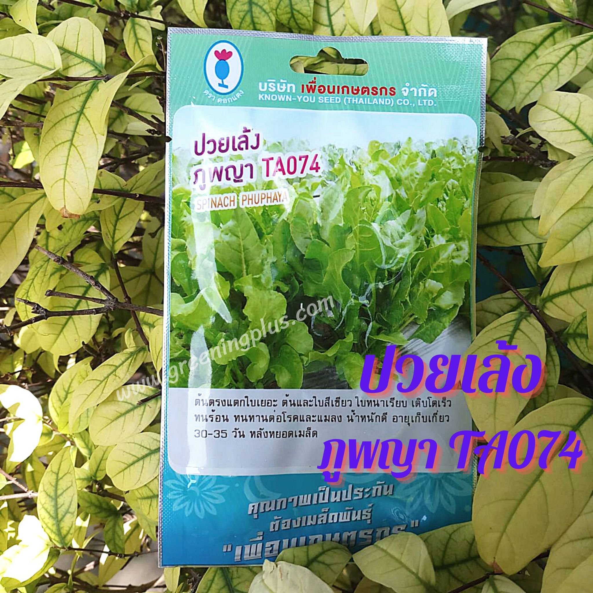ปวยเล้ง ภูพญา TA074 เพื่อนเกษตร