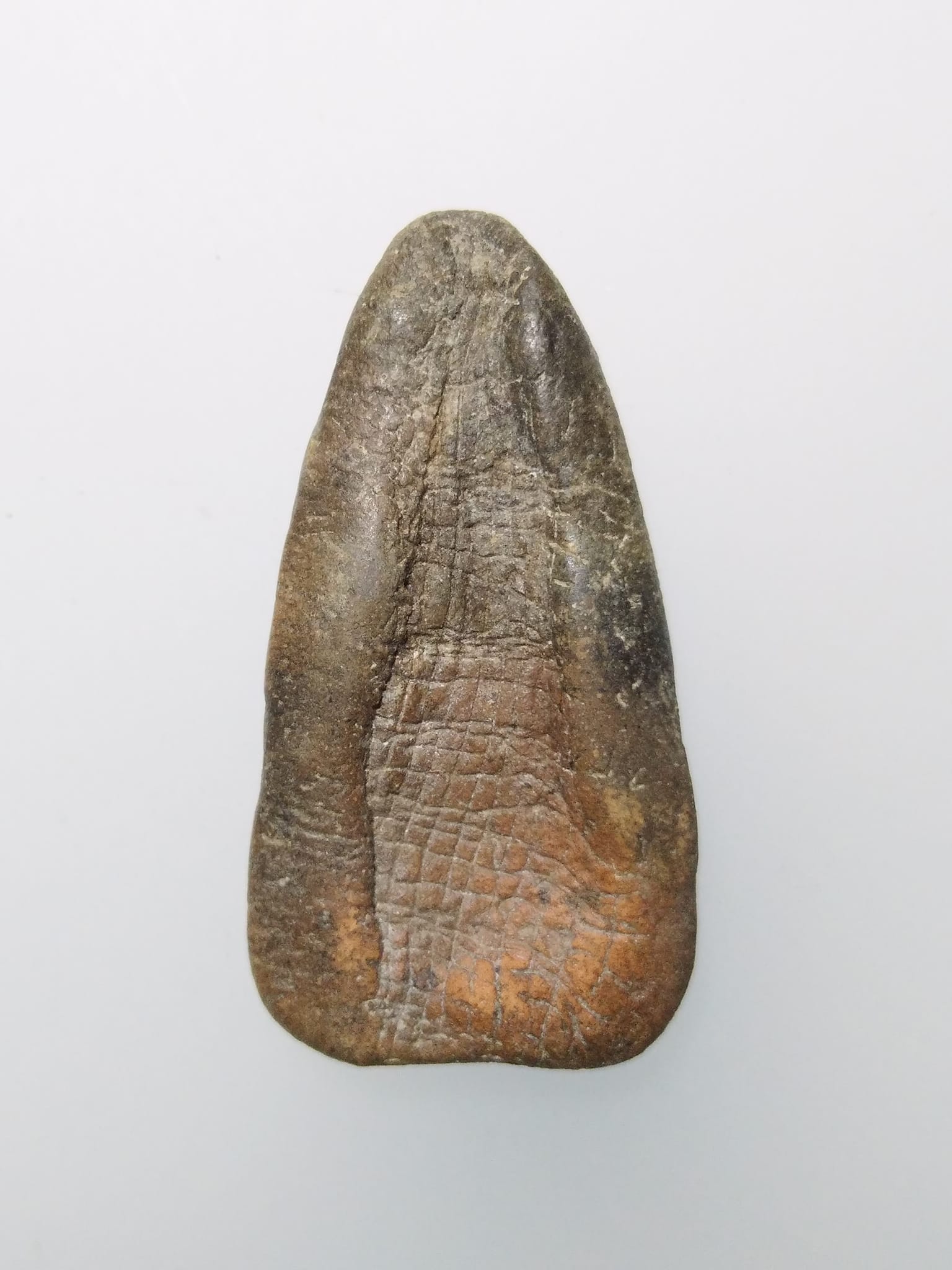 F023 พระท่ามะปราง