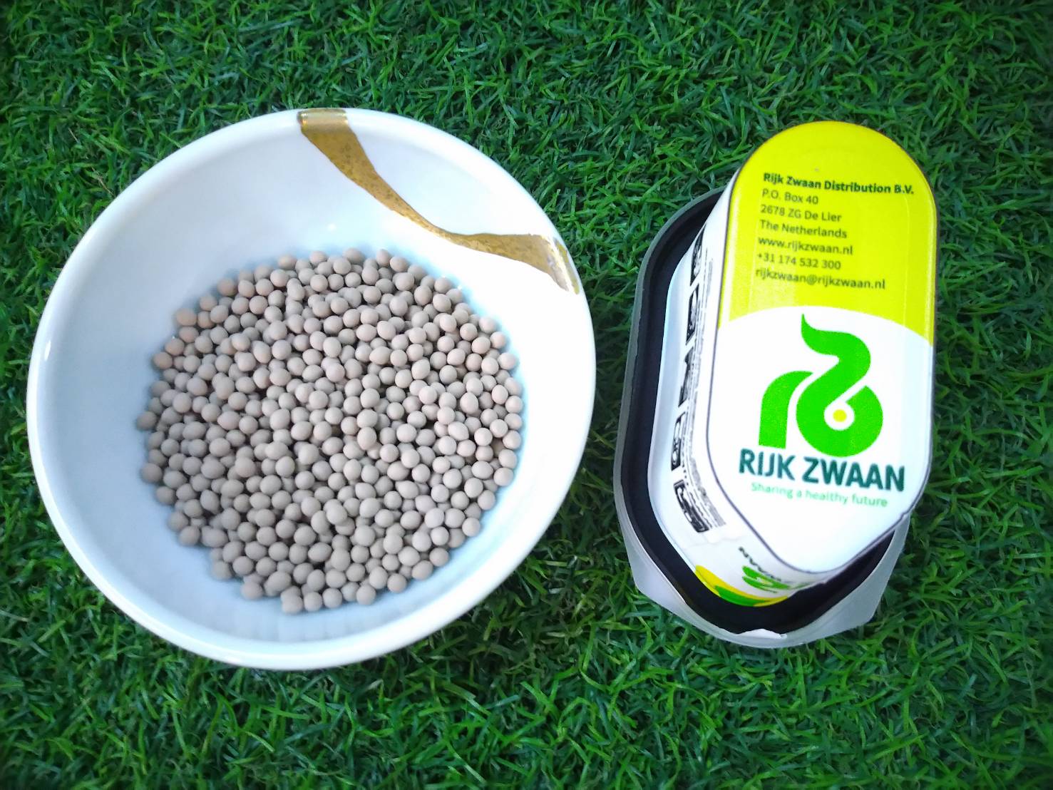 green coral (LOCARNO RZ) Dutch 1000 pills(เคลือบ)