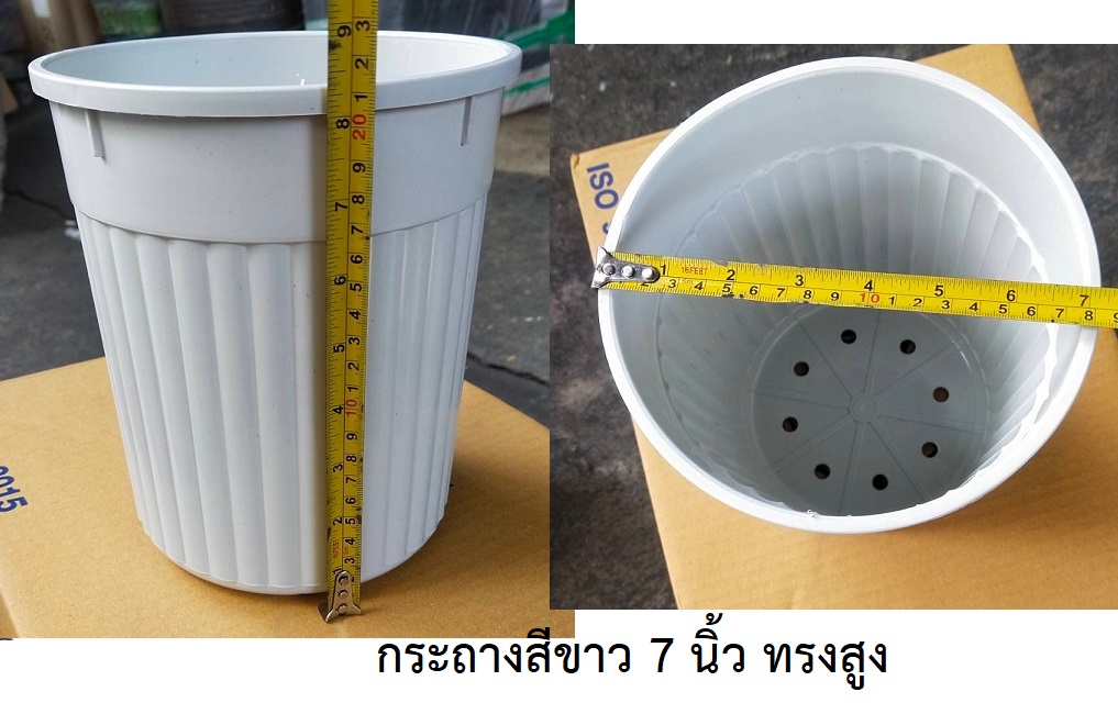 P01459 กระถางกลม 7 นิ้ว ทรงสูง ราคาส่งต่อ 1 โหล:12 อัน (240 บ/โหล )