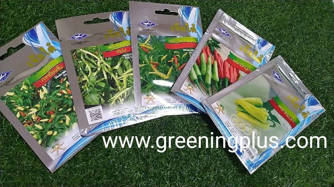 มะเขือเปราะ ซุปเปอร์ตอแหล 01 Eggplant เจียไต๋