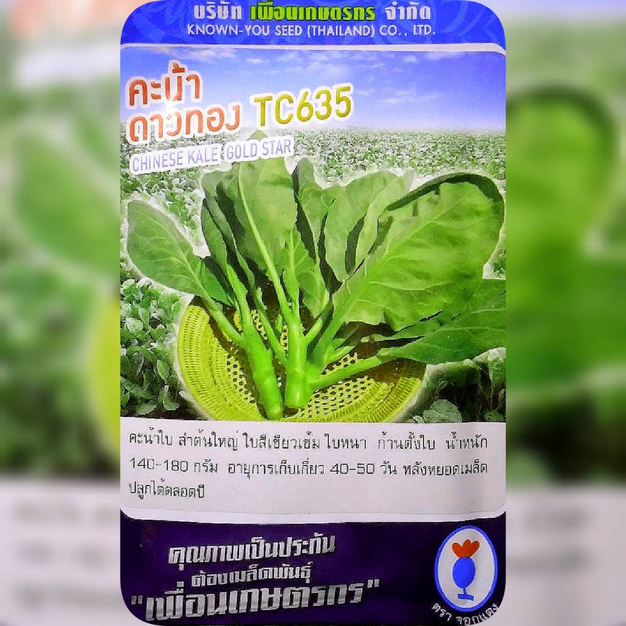 คะน้าดาวทอง ทีซี635 Chinese Kale เพื่อนเกษตร