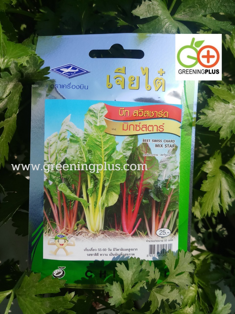 บีท สวิสชาร์ด มิกซ์สตาร์ (BEET SWISS CHARD MIX STAR) เจียไต๋