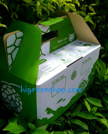 กล่องเมล่อนขนาด 2ลูก พร้อมถาดรอง